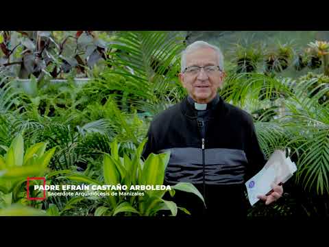 EVANGELIO DE HOY  Domingo 2 de Abril de 2023  Padre Efraín -Arquidiócesis de Manizales