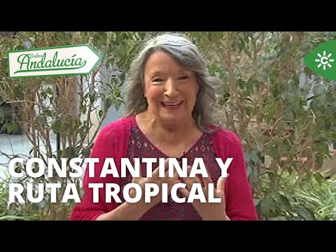 Destino Andalucía | Ruta en Constantina y Costa Tropical de Granada