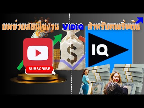 VidIQ:สำหรับคนเริ่มต้นบนYouT