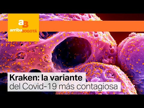 Covid - 19: alerta por nueva subvariante de Ómicron | CityTv
