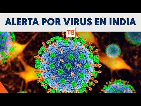 Qué es el Nipah, el virus que preocupa por la epidemia en India