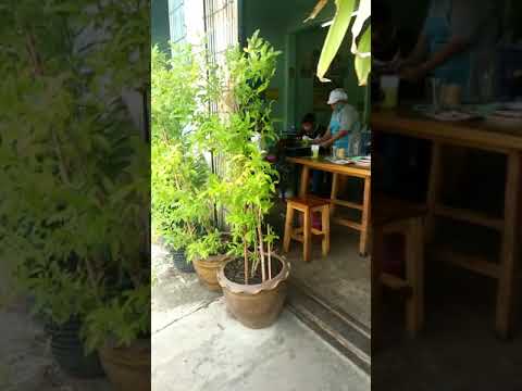 ร้านอาหารอีสานแซ่บเกินร้อย-|-ต ร้านอาหารอีสานแซ่บเกินร้อย-|-ต