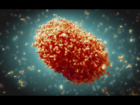 Medidas de bioseguridad para evitar contagios de viruela símica