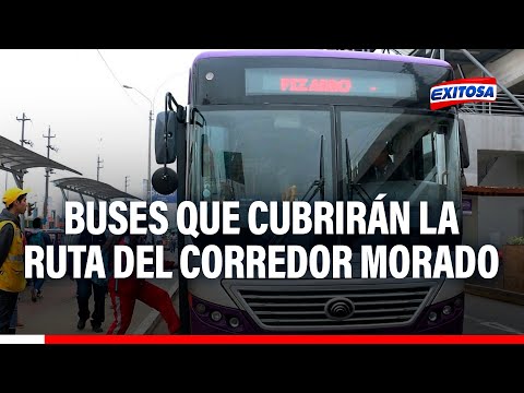 Corredor Morado: ATU anuncia que buses formales cubrirán la ruta ante paralización del 4 de marzo
