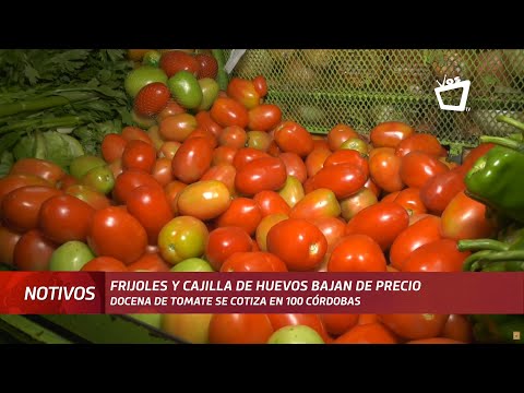 Docena de tomate se encuentra a 100 córdobas en mercado Roberto Huembes