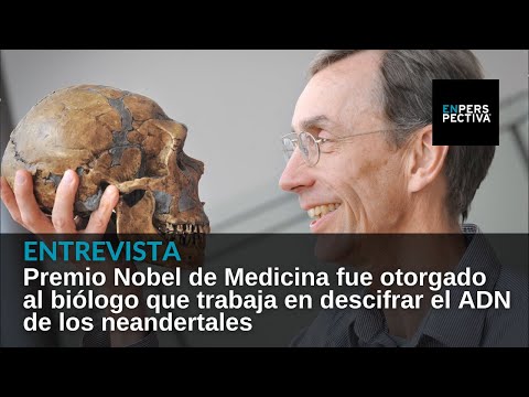 Premio Nobel de Medicina fue otorgado al biólogo que trabaja en descifrar el ADN de los neandertales