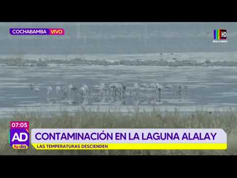 Contaminación de la Laguna Alalay ¡Una preocupación que no desaparece!