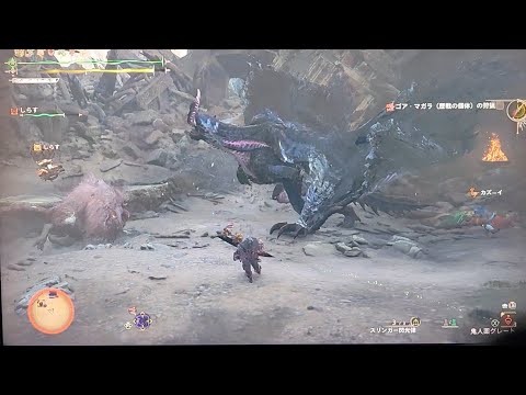 モンハンワイルズ オトモンのババコンガと共にゴア・マガラ(星9)を狩ってみた(@￣□￣@;)！！