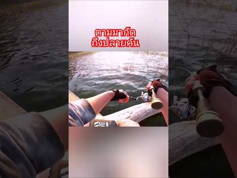 กระสูบ​อ่าง​เก็บ​น้ำ​fishing