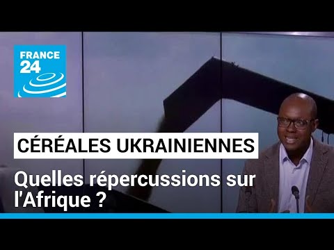 Céréales ukrainiennes : fin de l'accord, quelles répercussions sur l'Afrique ? • FRANCE 24