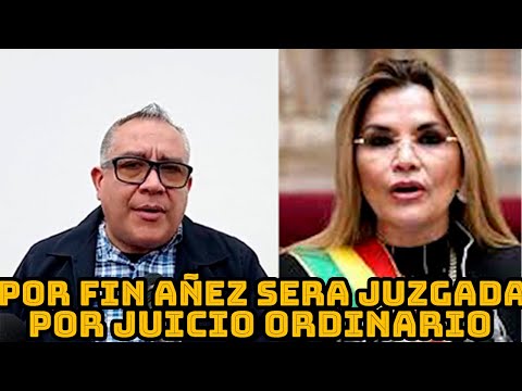 NELSON COX DICE JEANINE AÑEZ SERA PROCESADA POR LA VIA ORDINARIO Y PIDE GOBIERNO NO INTROMETERSE..