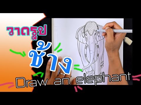Drawing-Ep.22-｜✣✤วาดรูป-ช้าง-e