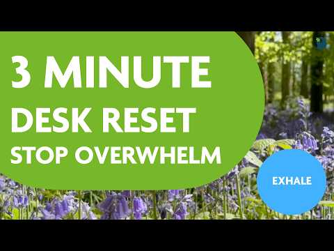 3 Minute 4:6 Breathing Exercise for Overwhelmed Professionals | Thriver Mental Fitness Gym