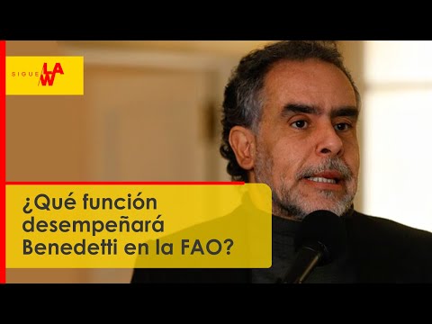 Armando Benedetti, nuevo embajador ante la FAO: ¿qué función desempeñará?