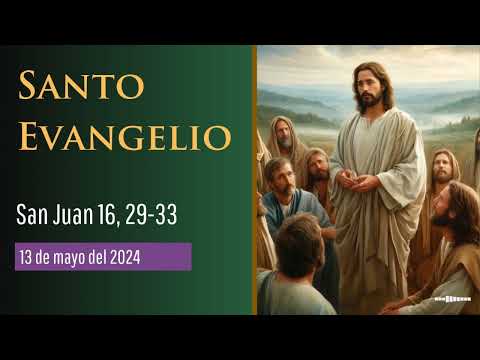 Evangelio del 13 de mayo según san Juan 16, 29-33