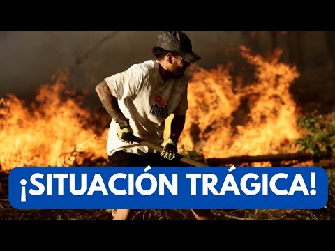 ¡El Fuego ARRASA CHILE! | Última Hora | News