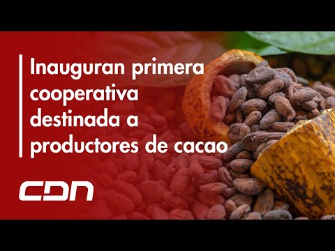 Productores de cacao afrontan baja en precios y producción del fruto, inauguran cooperativa