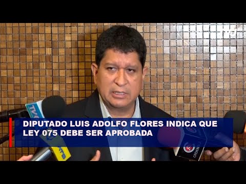 Diputado Luis Adolfo Flores indica que la ley 075 debe ser aprobada