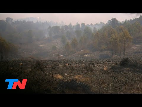 Incendios forestales en Córdoba: tierra arrasada y un faro de la Argentina, en peligro