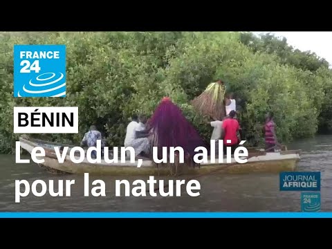 Au Bénin, la tradition vodun aide à la préservation de la nature • FRANCE 24