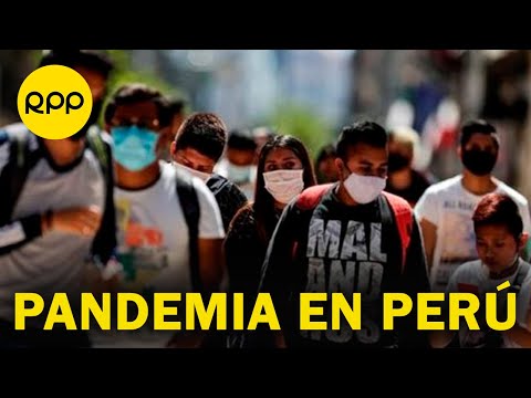 Medidas contra la pandemia en el Perú fueron las más dañinas para la economía, según estudio