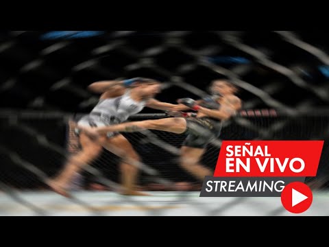 Amanda Nunes vs. Irene Aldana en vivo, por el título gallo femenino en el combate estelar de UFC 289