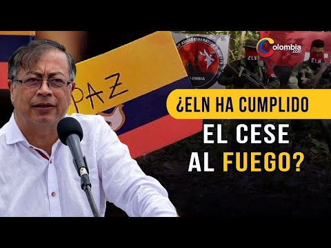 El ELN dice que el cese de hostilidades con el Gobierno colombiano ha estado bajo fuego