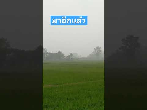 ฝนตกหนักมาก