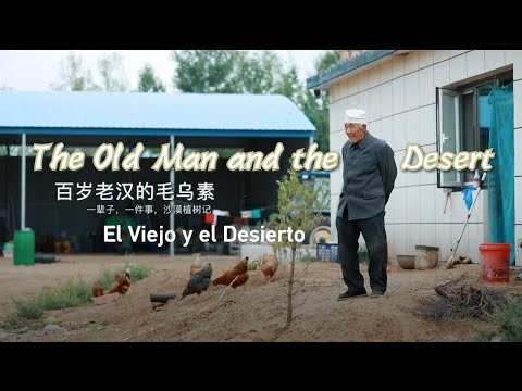 El viejo y el desierto