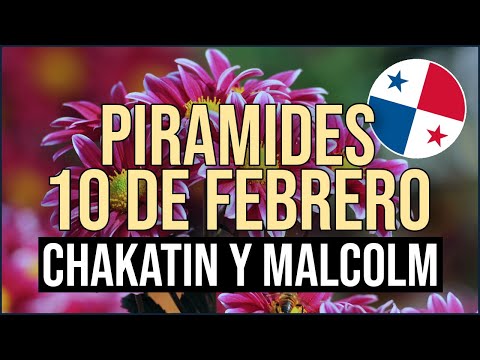 Pirámide Lotería de Panamá Sábado 10 de Febrero 2024  - Pirámide de Chakatin y Malcolm Ramos