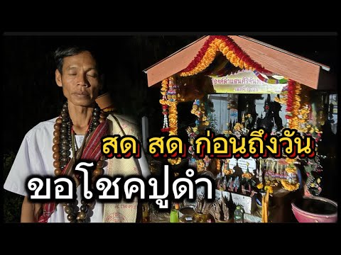 Pnewssurin Thailand สดสดขอโชคปู่ดำก่อนวันออกรับโชค3ตัวสาธุ