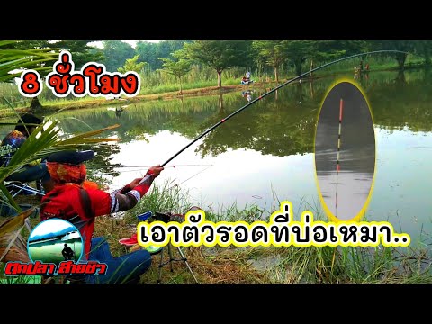ตกปลาบ่อเหมา-ตกบาลานซ์ไม่เป็นก ตกปลาบ่อเหมา-ตกบาลานซ์ไม่เป็นก