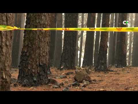 Ya se puede circular por dos de las vías más afectadas por el incendio de Tenerife