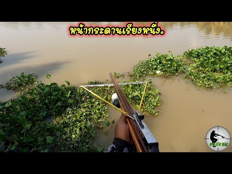 Shootfishยิงปลาแม่น้ำปราจีนบ