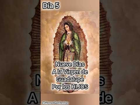 Virgen de Guadalupe Día 5 #virgendeguadalupe #virgenmaria #virgende #oracionporloshijos #video #fe