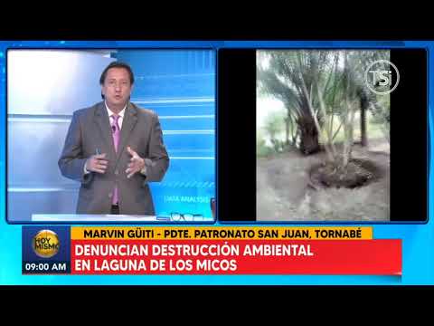 Denuncian destrucción ambiental en Laguna Los Micos