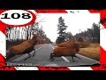 Polskie drogi #108