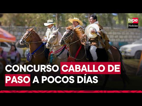 Concurso de caballos de paso peruano será del 14 al 21 de abril