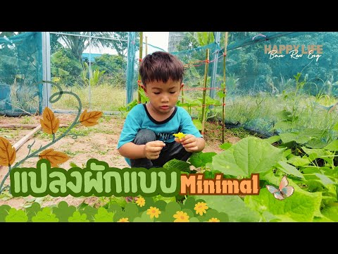 สวนผักแบบใด๋!!|บ้านเราเอง