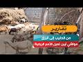 من الحليب إلى الرزق.. مواشي أبين تعيل الأسر الريفية