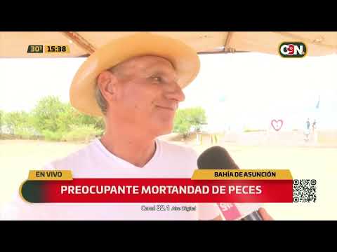 Preocupante mortandad de peces