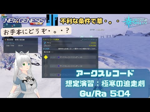 PSO2NGS アークスレコード 期間限定 想定演習：極寒の追走劇 Gu/Ra 5:04