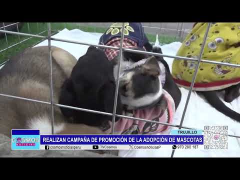 Trujillo: realizan campaña de promoción de la adopción de mascotas