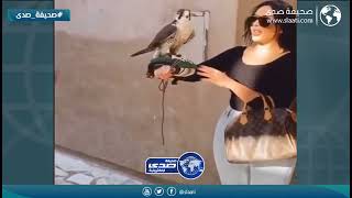 انتبهي من الصقر