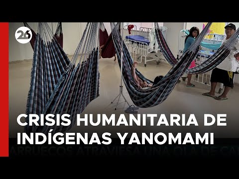BRASIL | Alarma por la crisis humanitaria de indígenas Yanomami
