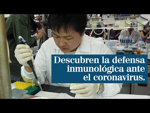 Descubren la defensa inmunológica ante el coronavirus