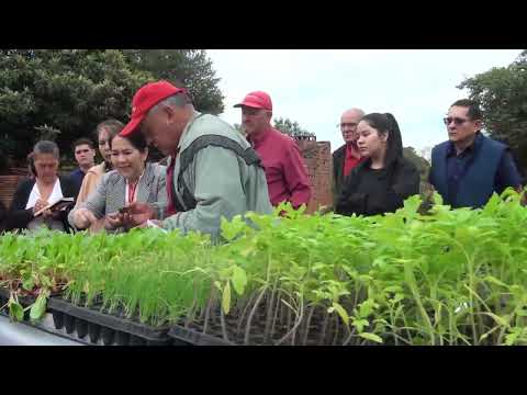 Yacyretá continúa impulsando el desarrollo comunitario a través de huertas para horticultores