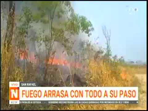 04112024   FUEGO ARRASA CON TODO A SU PASO EN SAN RAFAEL   UNO