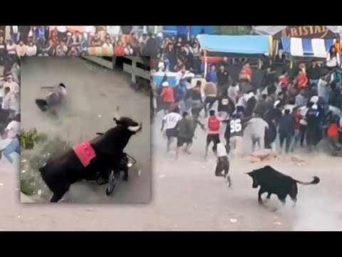 Ayacucho: Toro se escapa en plena fiesta y dejó a un hombre grave