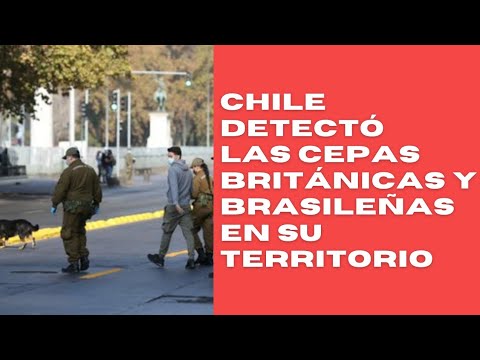 Chile detectó las cepas británica y brasileña del COVID